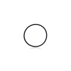iPhone 13 Pro / 13 Pro Max Back Camera Lens O-Ring Gasket Ã¯Â¼Ë†100 PackÃ¯Â¼â€°